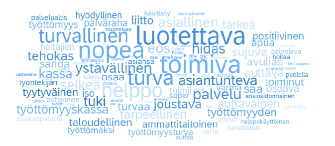 The picture shows the most common words used by respondents to describe Super Unemployment Fund